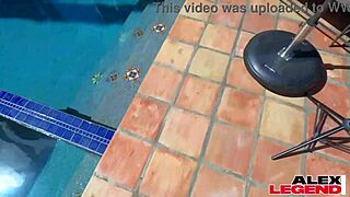 milf stunner shay sights lets fat dick wreck her pussy bareback with blowjob and cowgirl riding