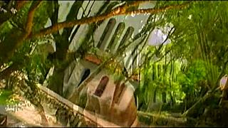 July Paiva gets her shaved pussy and ass fucked deeply in bamboo forest with ass to mouth finish.