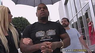 Cuckold watches Brooke Summers take her first big black cock