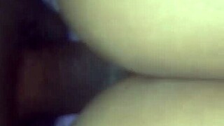 redbone ebony rides big black cock reverse cowgirl style