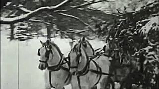 Wow, check out this vintage erotic art with hairy pussy vibes!