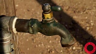 hey lovers, samantha rone dives into wet pussy licking with big ass milf in lingerie