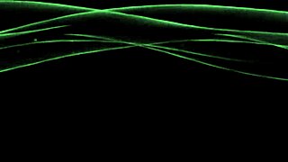 She explores a 1mm rubber mask in an outdoor bondage setup, fully bound in a catsuit for fetish play