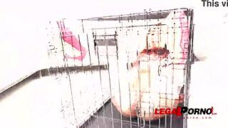 Veronica Leal's First Official DAP! Watch Her with Kristy Black in Bisexual Interracial Action, Double Penetration, Gaping, Fisting, and Cum Swallowing SZ2528!