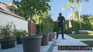 Hot blonde lovers crave big black cock delivery for threesome sex now 😏