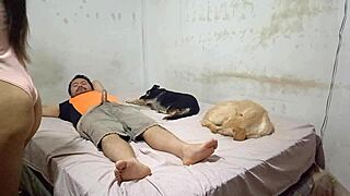 the peruvian dancer still craved movement so she bounced wildly on her cousin's cock until he was drained dry