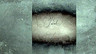 The retro film captured intimate encounters from the shadowy 1960s era with hairy beaver and blowjob scenes