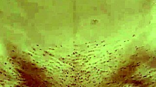 Brunette European babe rides small cock in homemade cowgirl position, enjoying every passionate moment