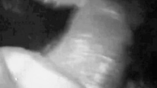 Hey, check out these vintage lesbians exploring hairy pussies in my secret life retro style! 😏