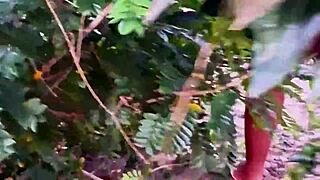 what if this curvy bbw wife in lingerie flashes her big natural tits and cameltoe outdoors while her cuckold husband watches?