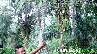 I met her in the bush fetching firewood while harvesting palm fruits