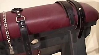 oh man, in the bondage dungeon scott rhodes ties maxine up tight...