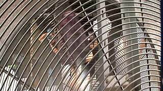 Fucking Brunette Mom In Bed With Deepthroat Doggystyle And Gaping Asshole