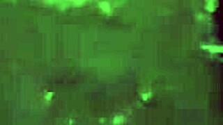 No Pelo Na Frente De Todo Mundo Grupo De Amigos Fode Na Pele Na Frente De Todos E Não Quer Nem Saber!