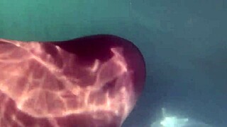 underwater creampie and dildo in pussy with amateurs babe blonde close up couple homemade outdoor shaved small tits tattoo teen toys