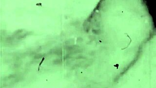 what makes dark lantern entertainment's vintage porn from two centuries so captivating