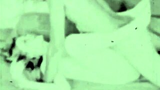 what makes dark lantern entertainment's vintage porn from two centuries so captivating