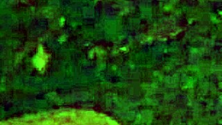 I Woke Up Horny In The Middle Of The Night