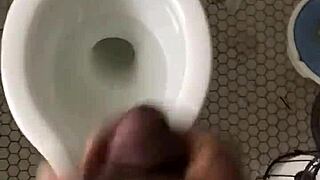 a tale of discovering the perfect nut for snacking