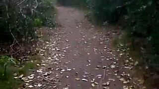 Adventire Time Public Woods with Blonde Blowjob and Cum Swallow