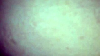 Eating Tight Teen Pussy From The Back With Intense Licking