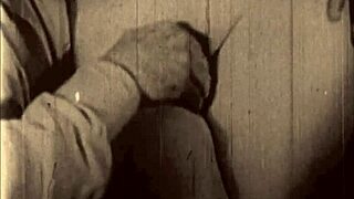 vintage artist captures hairy beavers in retro erotic scenes