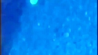 Petite Milf Bubble Butt in Bikini Fucked Doggystyle by Pool Guy