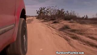 A hot outdoor babe sucks and fucks cock under the bright sun