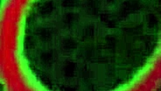 joslyn jane lesbians lick big clit pussy lips sensual orgasm