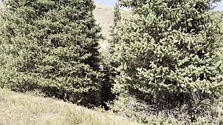 Public Pissing Compilation Nature Pads Flashing Juicy Pussy Pov