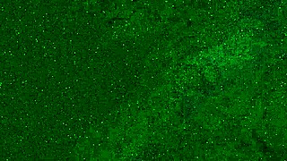 crazy 18yo pees panties on public beach then sunbathes wet 😜💦