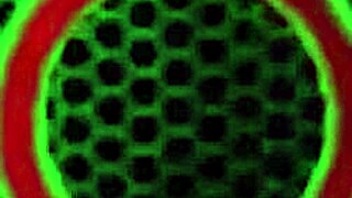 vicky vette rachel storms lap up poolside pussy juices