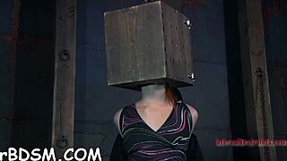 Babe's pussy takes brutal pounding in wild sucking contest game