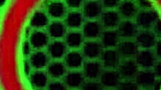 richelle ryan legs wide sara jay tongue licks pussy deep?