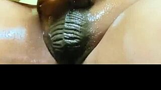 Mr daddydicc shows off his massive monster cock