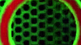 i luv bbc so much summer bangs big black cock nonstop