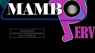 innocent redhead brazilian melissa craves bbc anal destruction no pussy mercy