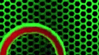 Jelena Jensen's Big Tits Caught Vibing Her Huge Clit In Lingerie?