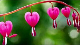 bangla couple shares emotional romantic sex story part 2