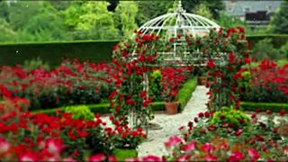 bangla couple shares emotional romantic sex story part 2