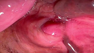 check out this amateur asian wife's shaved pussy 172 days post virginity loss