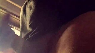 bad wolf28 drowns in wild lluvia de penes from endless horny cocks around her