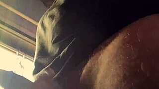 bad wolf28 drowns in wild lluvia de penes from endless horny cocks around her