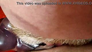 Wife's Juicy Pussy Rides For Neighbors' Eyes Only